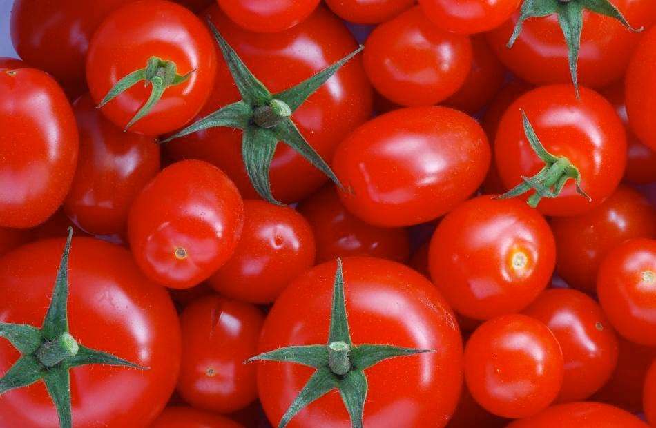 9 مصادر نباتية للكولاجين.. لبشرة دائمة الشباب