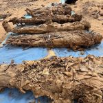 مصر.. اكتشاف مدينة موتى ضخمة تحوي أثارًا لأمراض معدية بمحافظة أسوان