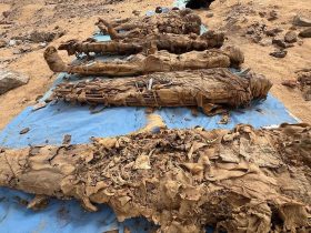 مصر.. اكتشاف مدينة موتى ضخمة تحوي أثارًا لأمراض معدية بمحافظة أسوان