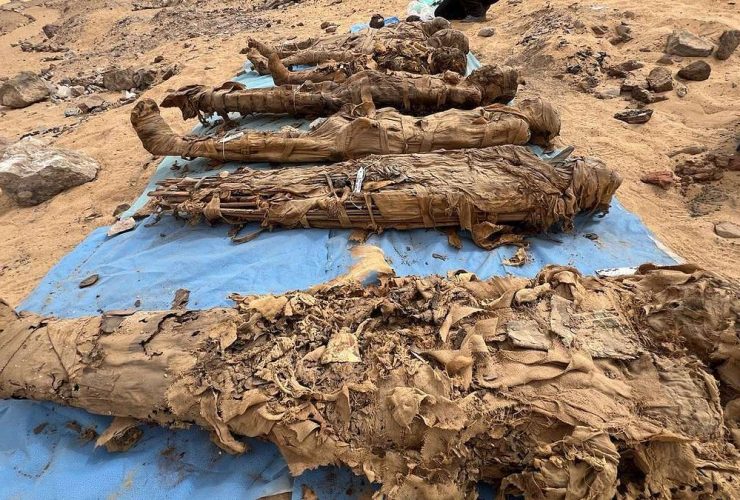 مصر.. اكتشاف مدينة موتى ضخمة تحوي أثارًا لأمراض معدية بمحافظة أسوان