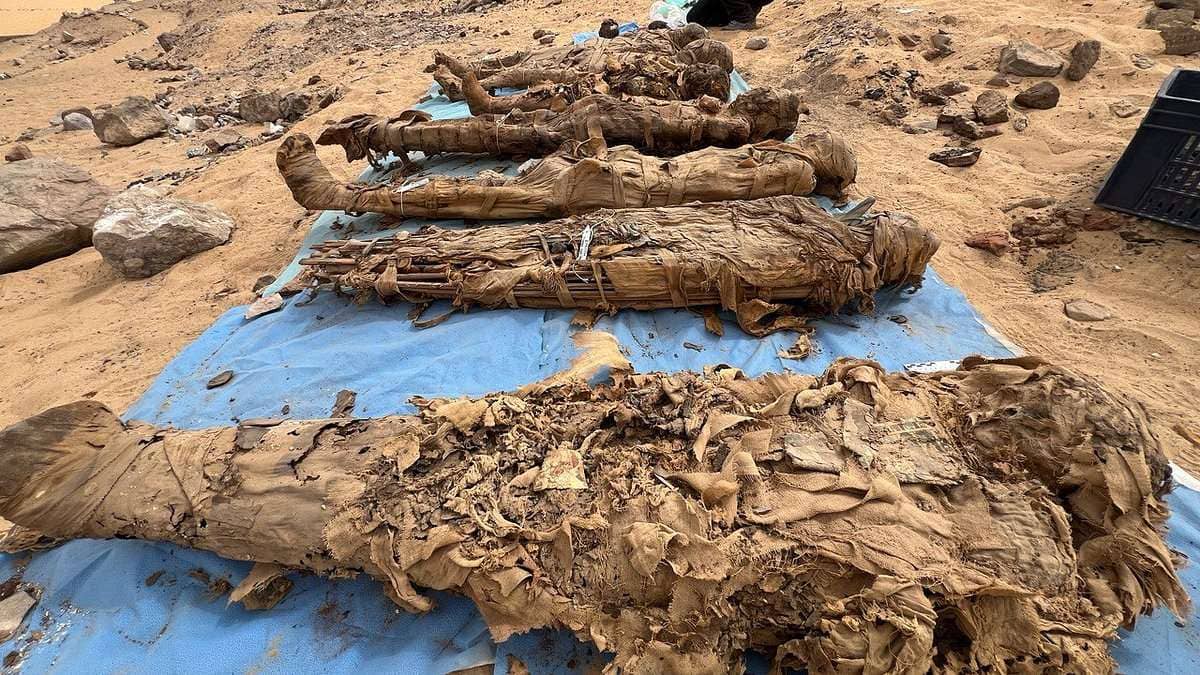 مصر.. اكتشاف مدينة موتى ضخمة تحوي أثارًا لأمراض معدية بمحافظة أسوان