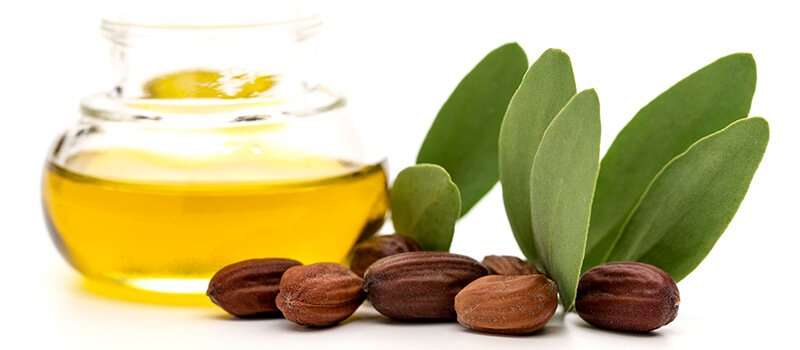 زيت الجوجوبا للشعر.. فوائد واضرار وطرق استخدام