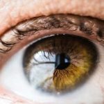 نحلة تلدغ رجلا أمريكيا في مقلة عينه وتسبب له تدهورا شديدا في نظره