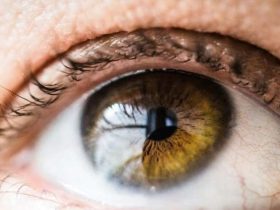 نحلة تلدغ رجلا أمريكيا في مقلة عينه وتسبب له تدهورا شديدا في نظره