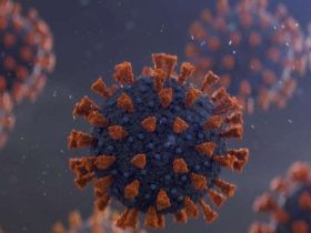 ظهور فيروس H5N1 في أمريكا