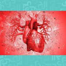 ما هي الإجراءات الوقائية لتجنب الإصابة بالسكتة القلبية في سن مبكرة