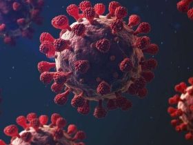 عدوى الجيارديا