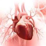 3 وجبات خفيفة صحية للقلب ينصح بها طبيب القلب