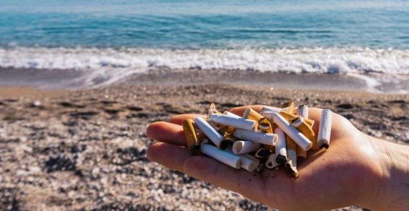 مخاطر إلقاء أعقاب السجائر على الشاطئ
