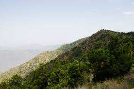 جبل السودة في عسير