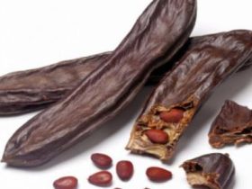 فوائد الخروب