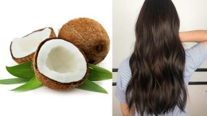 زيت جوز الهند للشعر.. سر جمال شعرك الطبيعي