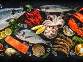 أفضل أنواع الأسماك المناسبة للأطفال..تعرفي عليها