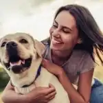 الحيوانات الأليفة