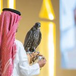 منصة المزاد الدولي لمزارع إنتاج الصقور