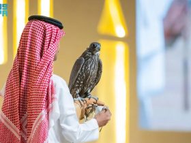 منصة المزاد الدولي لمزارع إنتاج الصقور