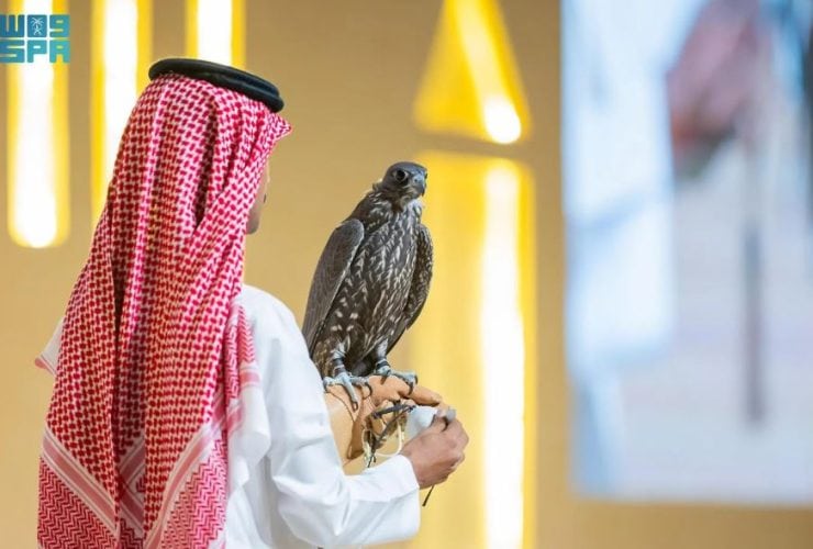 منصة المزاد الدولي لمزارع إنتاج الصقور