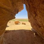 محمية الإمام تركي بن عبدالله