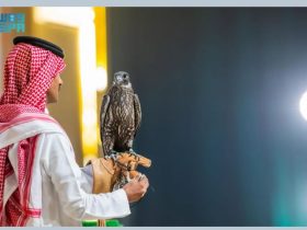 مزارع إنتاج الصقور