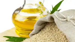 زيت السمسم كنوز ذهبية وعلاجاتك الطبيعية