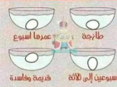 نصائح للحفاظ على طزاجة البيض