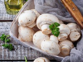 فوائد أكل الفطر.. كنوز خفية وغذاء صحي