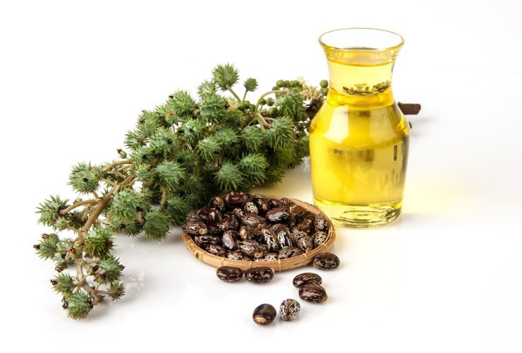 زيت الخروع حقيقة أم خرافة في عالم العناية بالشعر؟..خبراء يجيبون