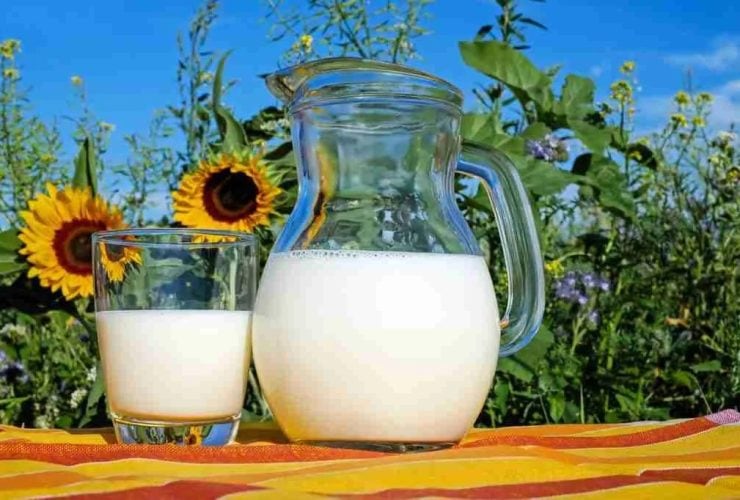 5 طرق سهلة لإدخال الكالسيوم إلى نظامك الغذائي