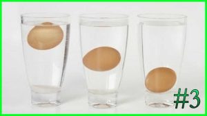 علامات تدل على فساد البيض وكيفية تجنبها