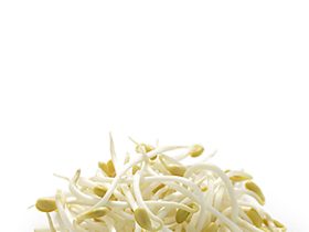 فول الصويا.. فوائد وقيمة غذائية