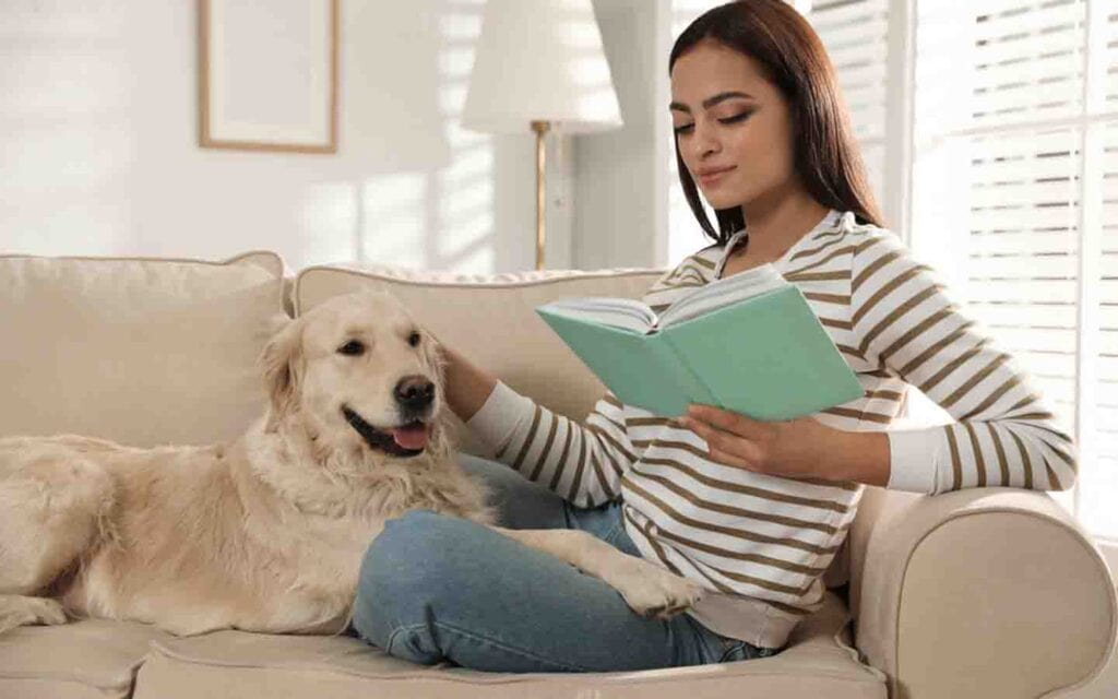 تربية حيوان أليف