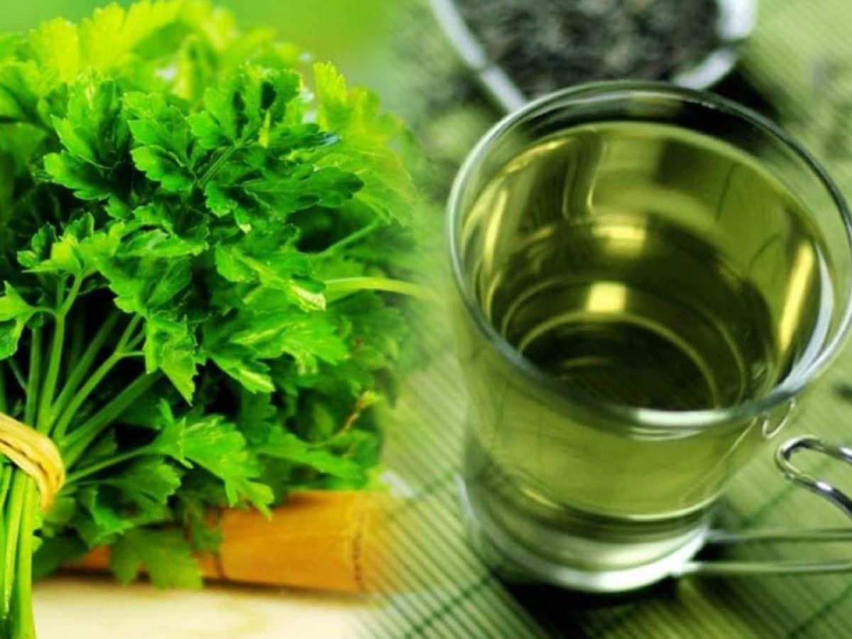 تعرفي على فوائد البقدونس في رحلتك نحو الوزن المثالي