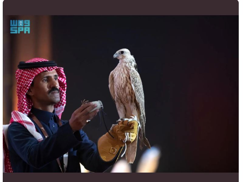 مزارع إنتاج الصقور 2024