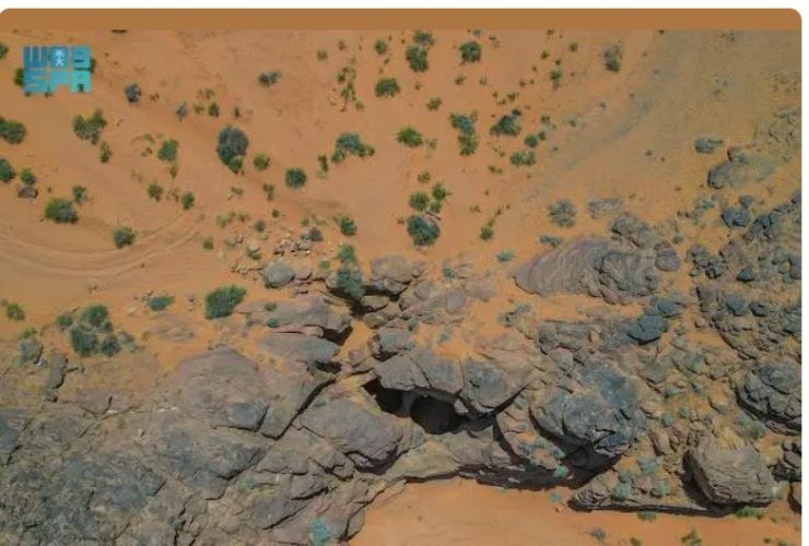 محمية الملك سلمان بن عبدالعزيز الملكية