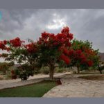 متنزه موعاة بنجران