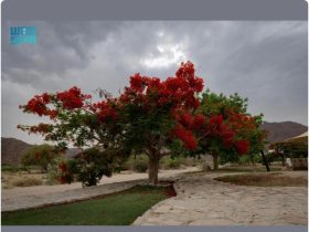 متنزه موعاة بنجران