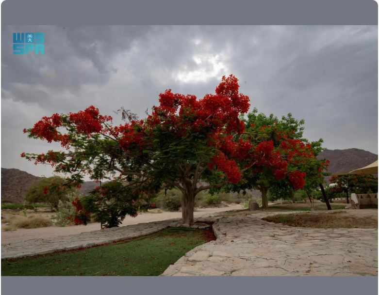 متنزه موعاة بنجران