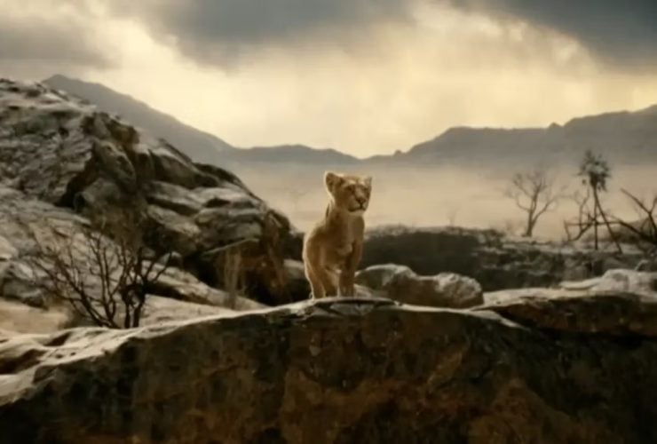موفاسا قبل أن يصبح ملكًا.. شاهد برومو الفيلم الجديد
