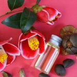 زيت الكاميليا.. سر جمال الشعر الياباني بين يديك