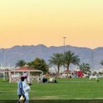 مشروعات تأهيل وتطوير الحدائق