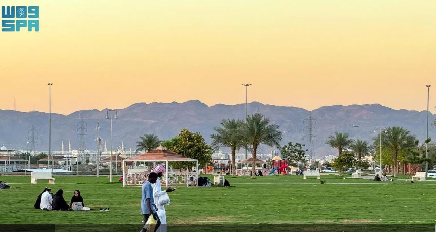 مشروعات تأهيل وتطوير الحدائق