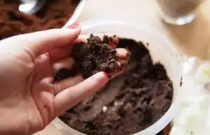 تخلصي من رائحة الثوم.. 5 طرق سهلة