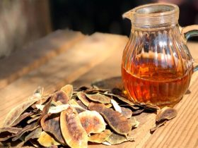 شاي السنا.. الفوائد والمخاطر والاستخدامات