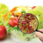 نصائح سريعة للحماية من الأمراض المنقولة بالغذاء نظافة اليدين والأواني فصل الطعام النيء عن المطبوخ طهي الطعام جيدًا التخزين الصحيح استخدام مياه نظيفة