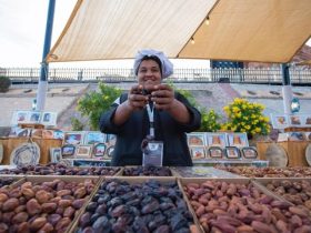 مهرجان العلا للتمور يعزز الزراعة المحلية