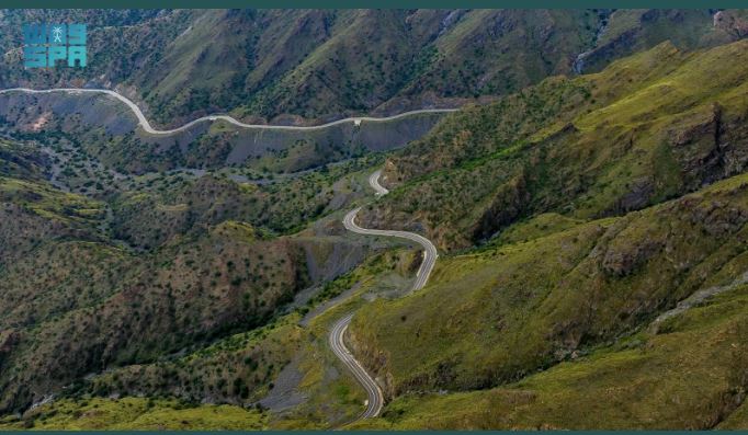 محمدية الطائف.. أفق تصافح البحر الأحمر