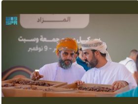 مزاد العُلا للتمور