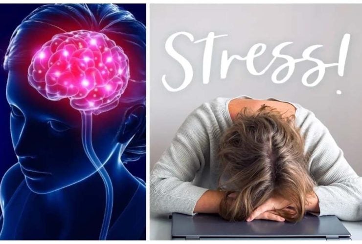 كيفية التغلب على التوتر وتحقيق التوازن العاطفي..نصائح إتبعيها