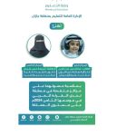 تعليم جازان