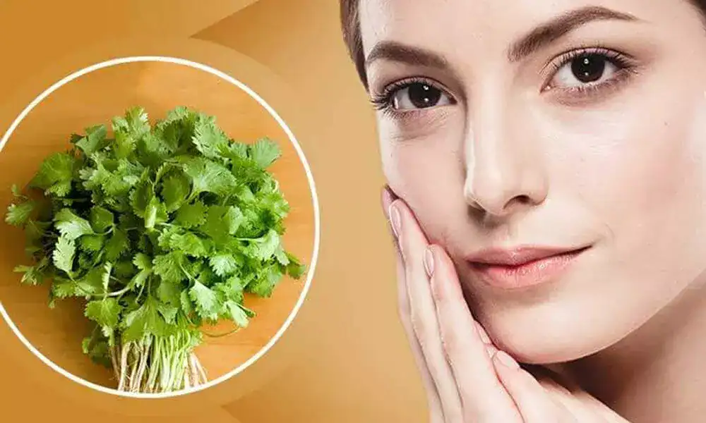 الكزبرة في روتين العناية بالبشرة.. 5 طرق سهلة